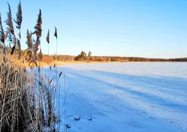 оз. Лебедине